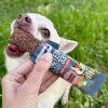 Bow Wow Protein Bar - Proteínová tyčinka s lososom 32g